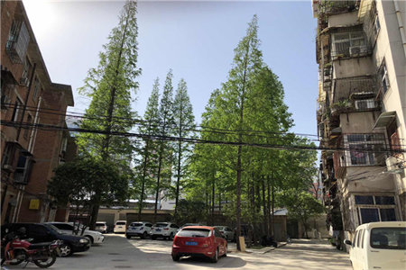 城西供销佳美德泽园西区3室2厅1卫86.8万101m2出售